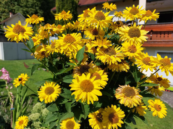 Ferienwohnung Gaul (Riedenburg-Altmühlmünster)