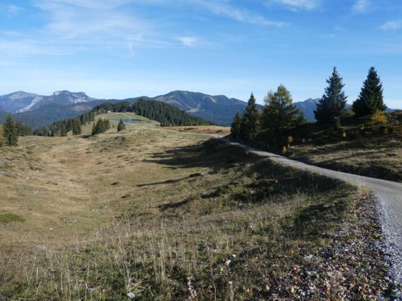 Auffahrt zur Mösernalm