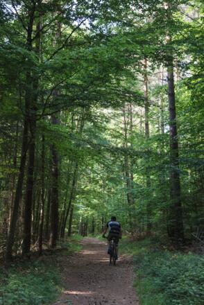Strecke zum Hohe Wart Haus