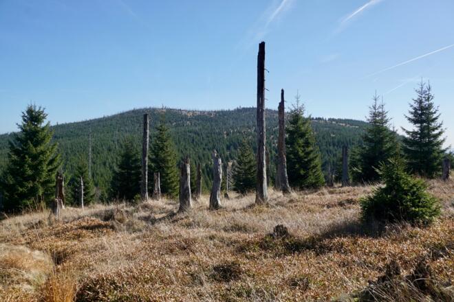 Rückblick zum Plattenhausenriegel