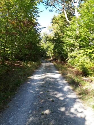 Rhönrundweg 9 Oberelsbach_Schmetterlingslehrpfad_2