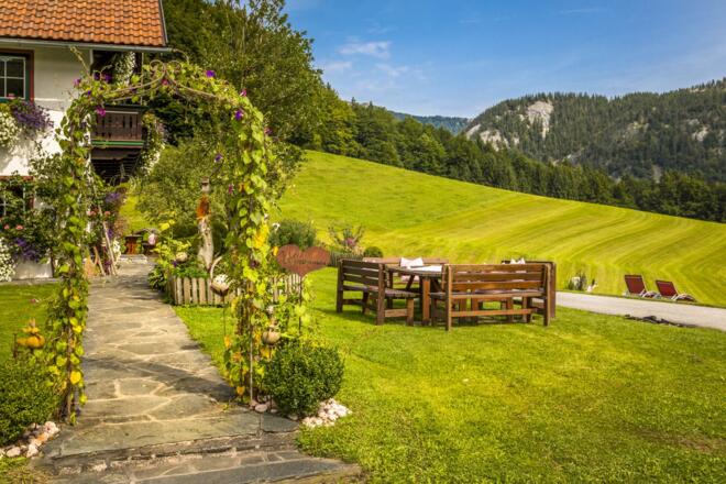 20170827_BambichlgutAussen_069_klein