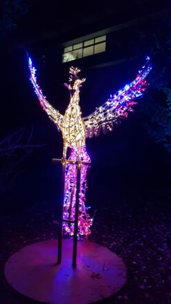 Lumagica Hofgarten Innsbruck