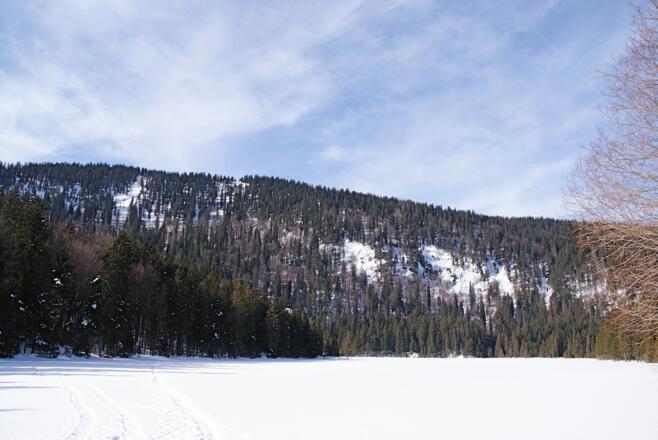 Großer Arbersee
