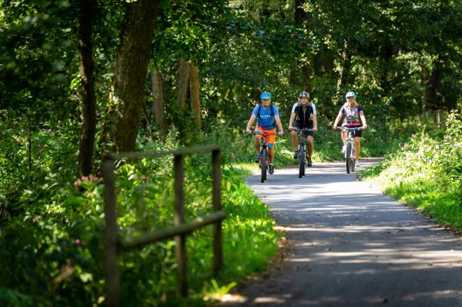 Radtour auf vorwiegend asphaltierten Wegen um den Naturpark Steinwald