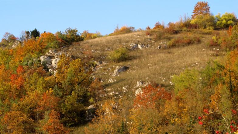 An den Südhängen liegen trockene, heiße Standorte.