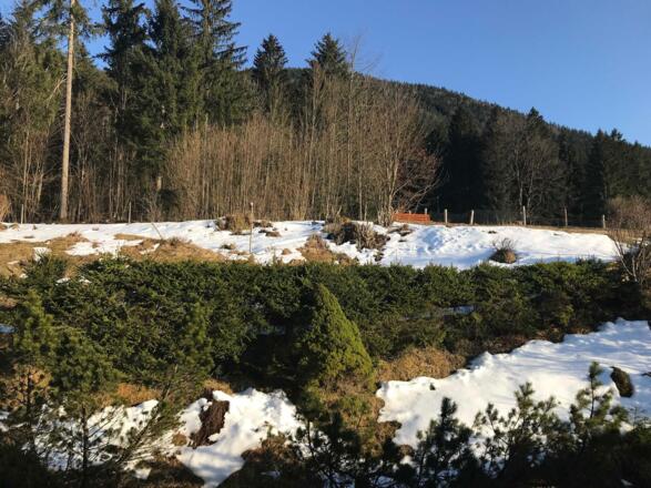 Balkon Blick Morgensonne