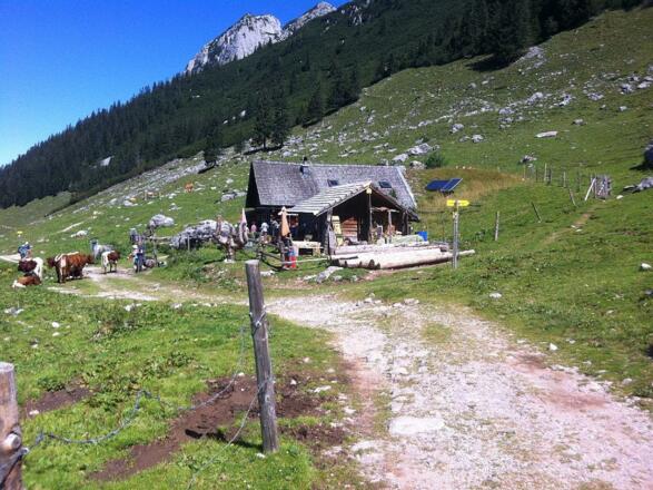 Stuhlalm, ca 2 Stunden von unserem Haus.