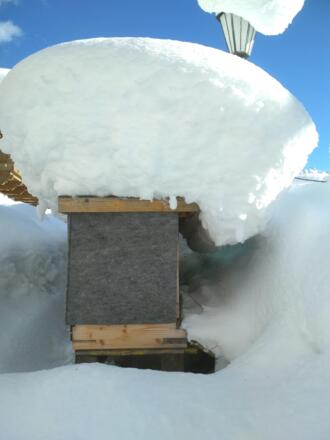 Imkerei Fam. Krahbichler in Neukirchen am Großv.