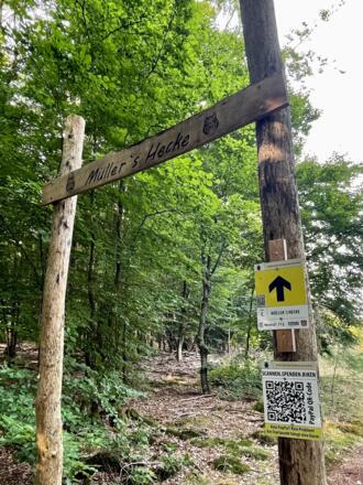 Trail Müllers Hecke