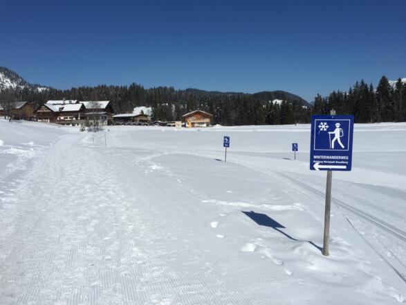 Winterwanderung in der Schwende