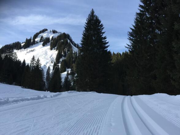 Steinbock-Loipe Bödmer Schleife
