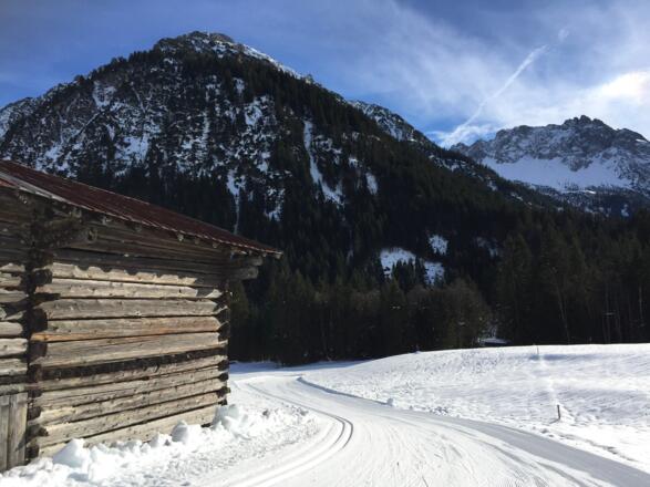 Steinbock-Loipe Bödmer Schleife
