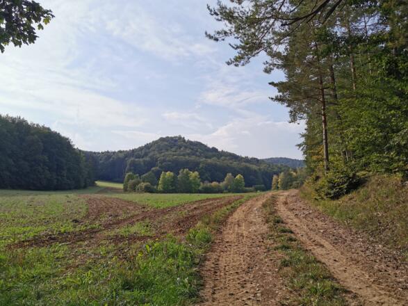 Blick auf den Bodenberg