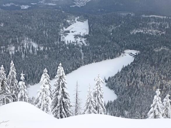 Mittagsplatzl - Blick zum Gr. Arbersee