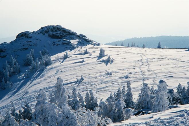 Gr. Arber - Blick zum Bodenmaiser Riegel