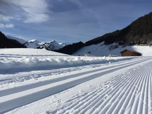 Steinbock-Loipe Bödmer Schleife