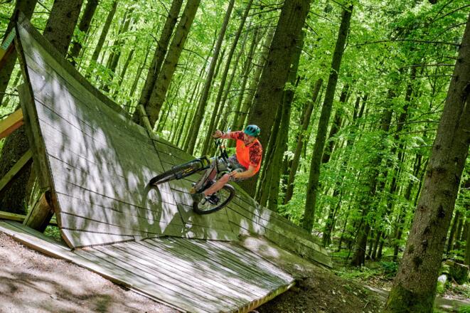 Flowtrail Kreuzberg