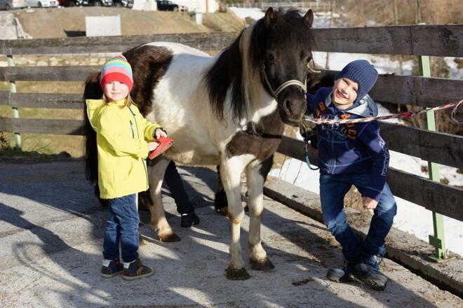Unsere Ponies sind ein Highlight