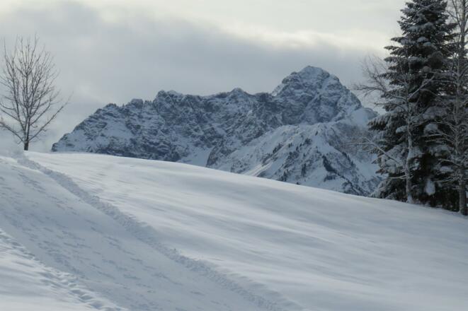 Winterwanderweg mit Widderstein