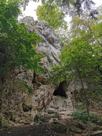 In der Starenfelshöhle wurden Fundstücke früher menschlicher Behausung gefunden.