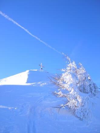 Blick auf den Regenspitz