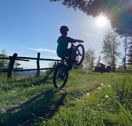 Waldhausen - Mountainbiker