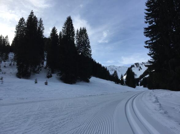 Steinbock-Loipe Bödmer Schleife