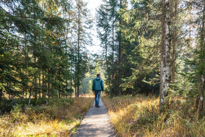 Steg durch das Hochmoor Fohramoos am Bödele