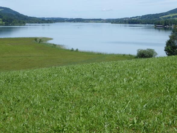 Der Irrse in der Mondsee Region