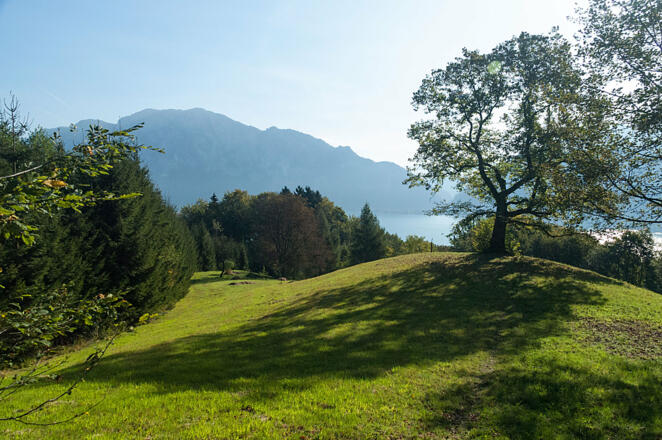Ein Wanderweg in der grünen Attersee Region