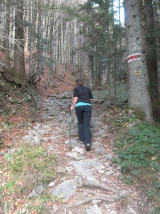 Abzweig zur Kohleralm