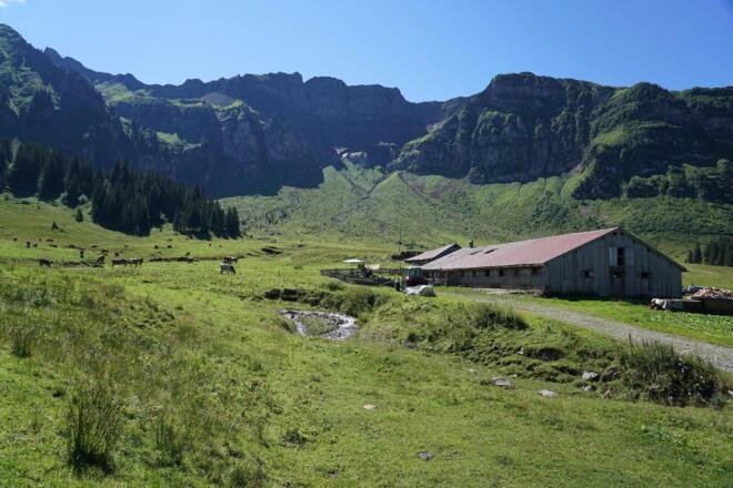 Alpe Kanis
