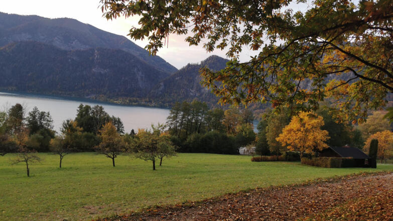 Ein herbstliche Wanderweg in der Attersee Region