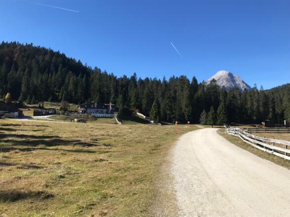 Wildmoosalm mit Blick zur Hohen Munde