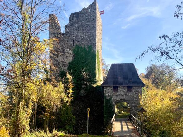 Ruine Haichenbach