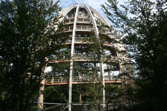 Aussichtsturm des Baumwipfelpfads