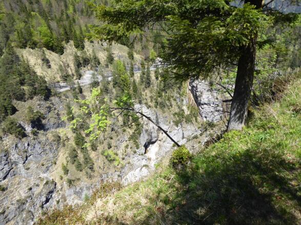 Salzkammergut Wanderweg in der Fuschlseeregion