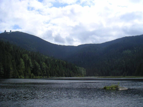 Auf dem Kleinen Arbersee befinden sich einige schwimmende Inseln als Relikte aus der Eiszeit.