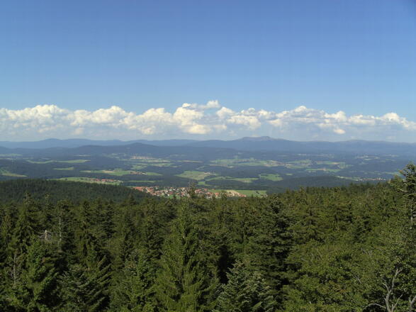 Der Aussichtsturm bietet einen einmaligen Rundumblick.