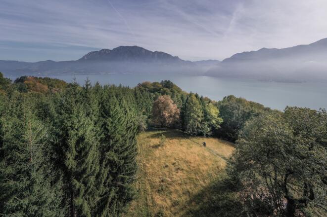 Wanderweg im Wald in der Attersee-Attergau Region