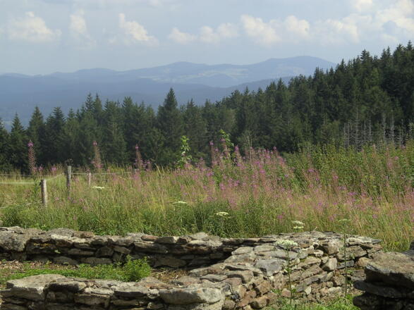 Die Ruinen des ehemaligen Bergdorfs Oberbreitenau.