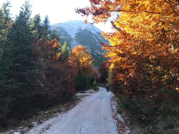 Auffahrt zur Rauthhütte