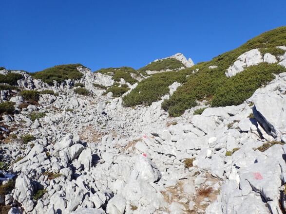 Blockgelände im Kar