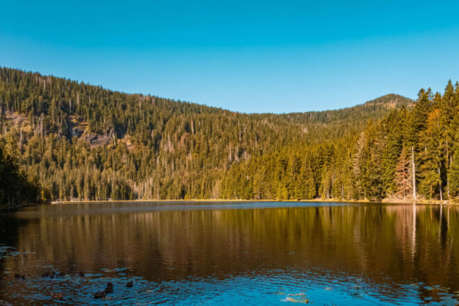 Arbersee