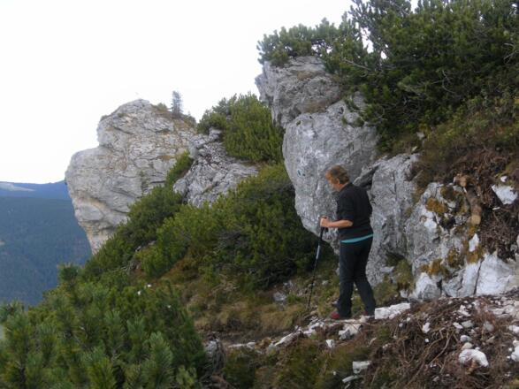 Zustieg zum Kohlerhörndl