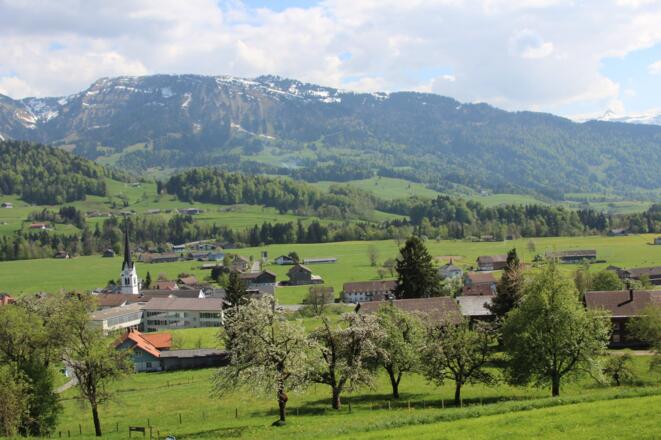 Blick auf Lingenau
