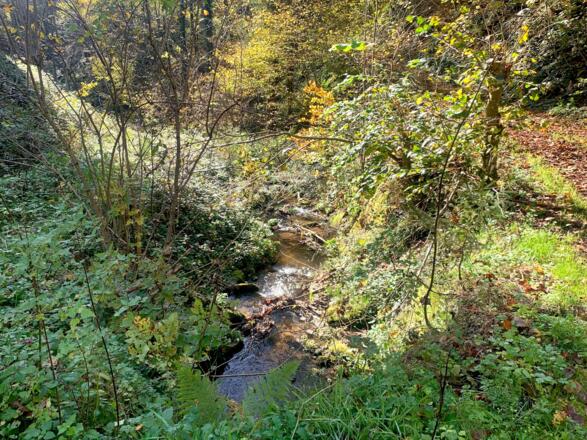 Der Marsbach