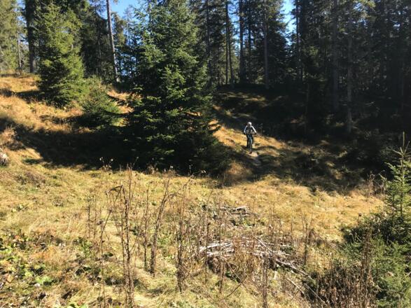 kurzer Singletrail in Hochmnoos