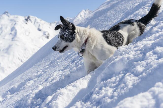 sonnenkopf_alexkaiser-2858